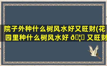 院子外种什么树风水好又旺财(花园里种什么树风水好 🦟 又旺财)